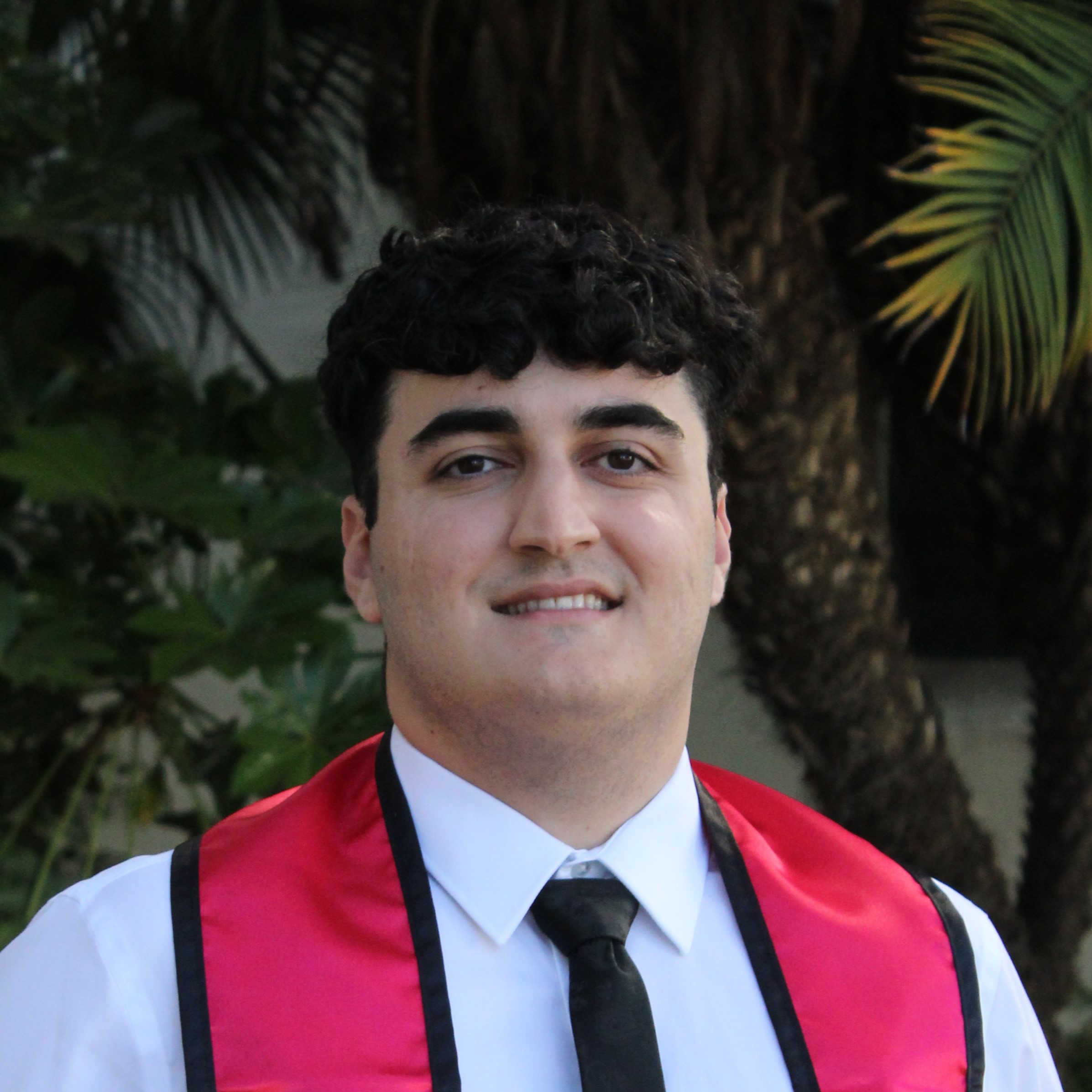 Parham Khodadi - Aerospace Engineer